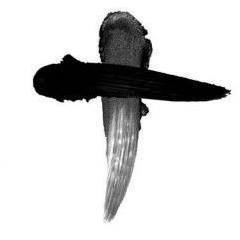 Featured image for “Lent – Not Denial But Transformation”