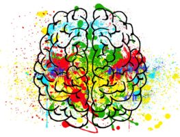 graphic of a brain with watercolor behind it