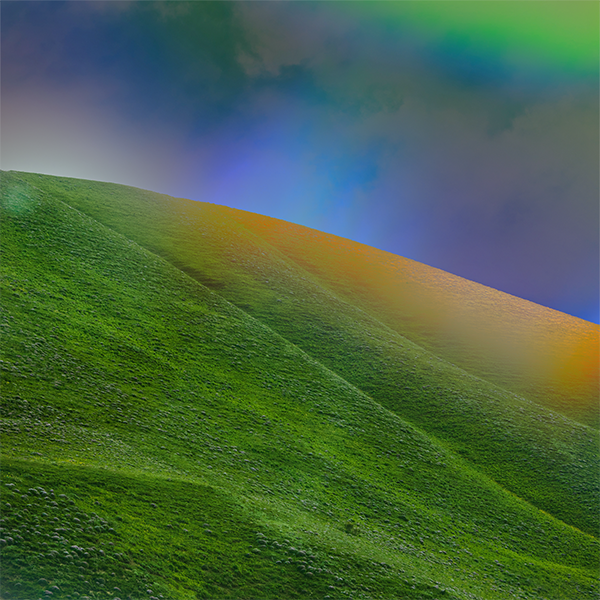 Featured image for “Green Pastures of Refuge”