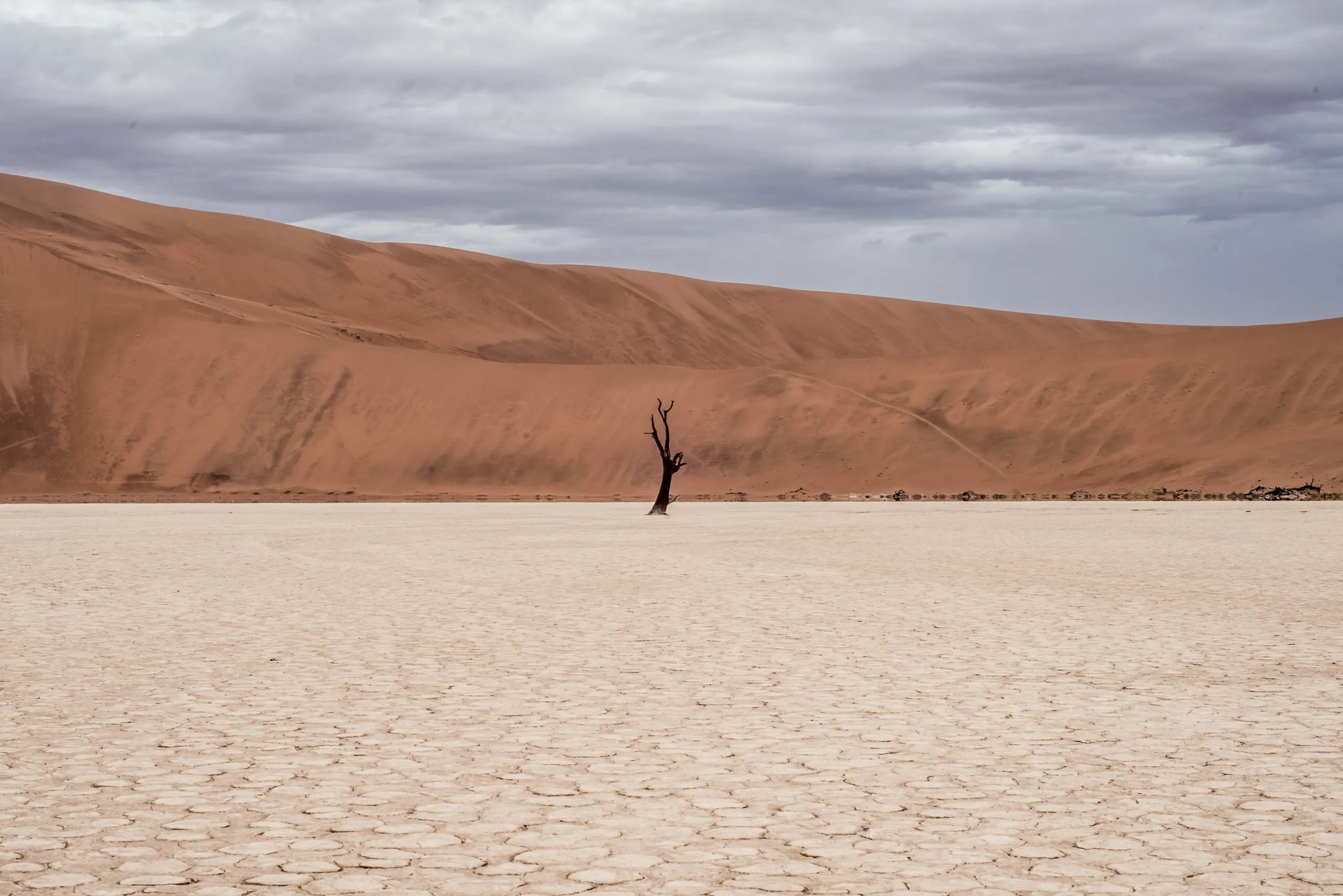 Featured image for “Wildly Tempting: How to win the war of temptation”