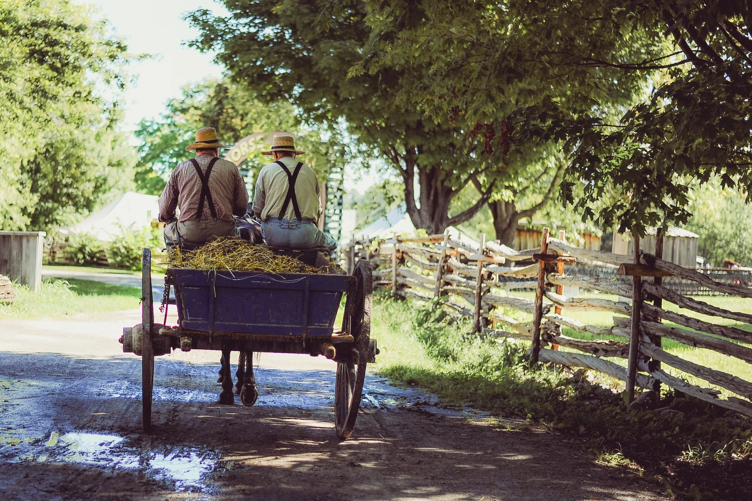 Featured image for “Finding Things to Love About Reformed People: An Anabaptist Dialogues with a Reformed”