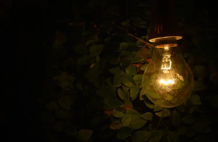 Featured image for “This Advent, Let the Gospel of Luke Reawaken Your Hope”