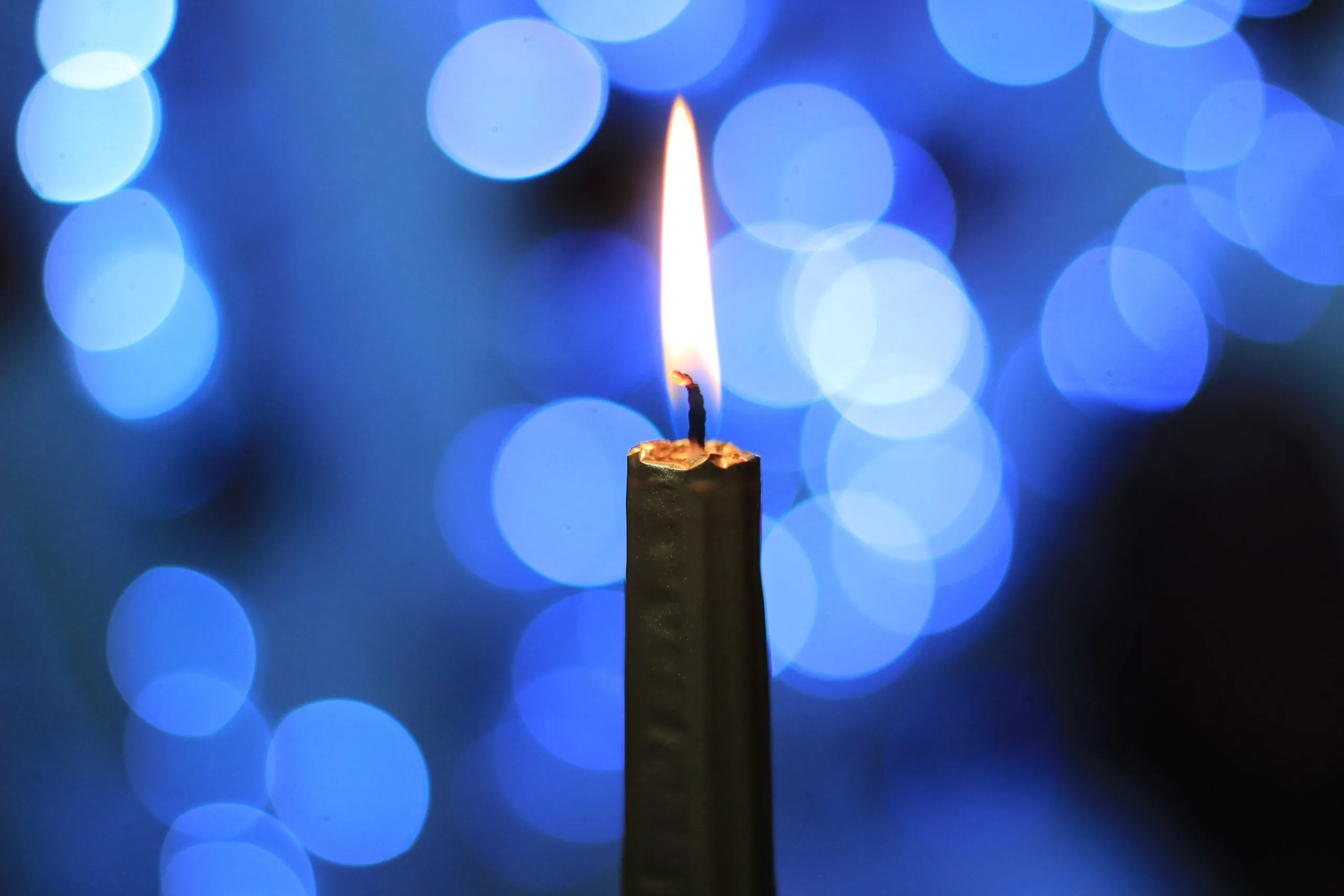 Featured image for “Blue Christmas: Is it Really the Most Wonderful Time of the Year?”
