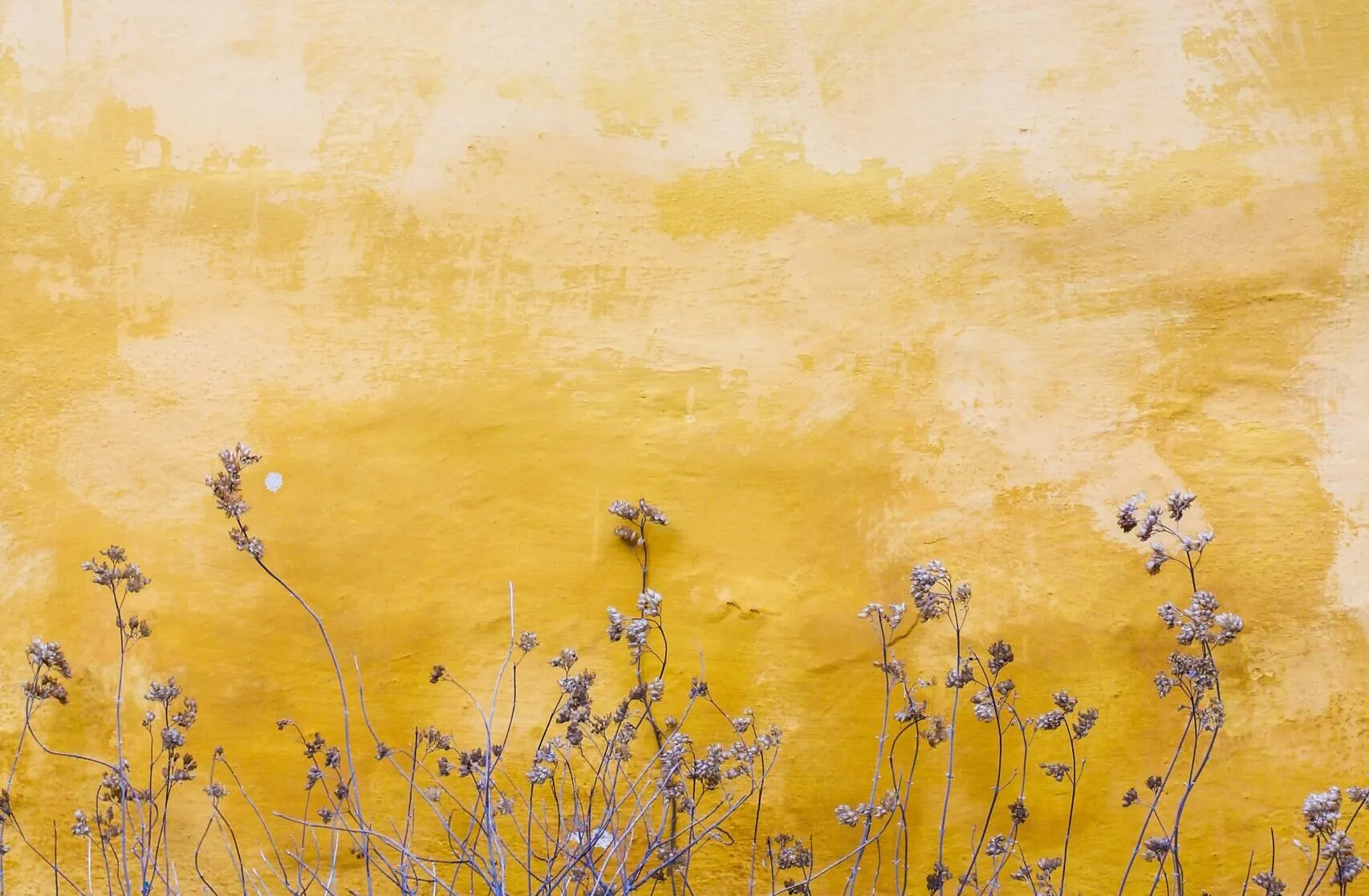 Featured image for “Advent: Expressible Joy”